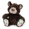 Nici 40478 Classic Bear Bär Dunkelbraun Mit Bunten Füßen Plüsch Kuscheltier 20cm