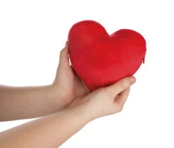 Nici 44427 Love Bär Schwester Rosa Wendeplüsch Bär In Herzkissen Ca 20cm 18 Nici 44427 Love Bär Schwester Rosa Wendeplüsch Bär In Herzkissen Ca 20cm -Nici Verkäufe 2026 44427 07 ZA Frei 2048x1741