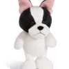 Nici 45101 Französische Bulldogge Ca 20cm Dog Friends Schlenker Plüsch -Nici Verkäufe 2026 45101 01 HA Frei 1638x2048
