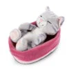 Nici 47144 Sleeping Kitties Schlafende Katze Im Körbchen 16cm Plüsch Grau -Nici Verkäufe 2026 47144 01 HA Frei 2048x1752