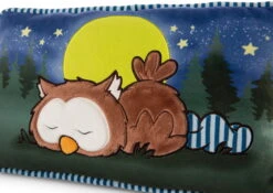 Nici 47879 Kissen Eule Oscar Schlafend Glow In The Dark 43x25cm Plüsch Owlsons -Nici Verkäufe 2026 47879 04 ZA Frei 2048x1451