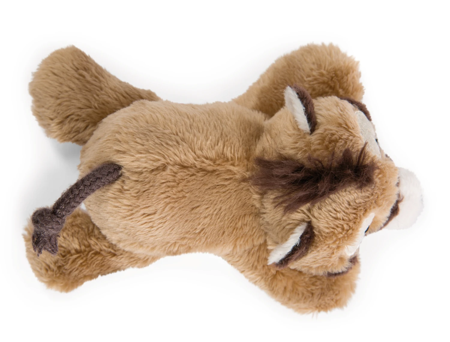 Nici 47956 MagNICI Nasenbär Coaty 12cm Magnetfigur Plüsch Wild Friends GREEN 4 Nici 47956 MagNICI Nasenbär Coaty 12cm Magnetfigur Plüsch Wild Friends GREEN – Bild 2