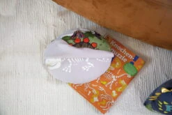 Nici 48820 Kissen Dinosaurier Fossily Wendeplüsch Glow In The Dark 32x26cm GREEN -Nici Verkäufe 2026 48820 14 Milieu 2048x1365