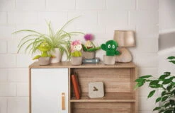 Nici 48941 Kaktus Pflanze Henriette 18cm Plüschfigur GREEN Funny Flowers -Nici Verkäufe 2026 48941 11 Milieu 48942 48943 48944 Milieu me 3