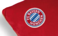 Nici 49080 Kissen FC BAYERN MÜNCHEN Bär Berni 43x25cm Plüsch FCB Dekokissen -Nici Verkäufe 2026 49080 04 ZA weiss 792x492