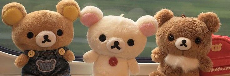 Titelseite -Nici Verkäufe 2024 banner381